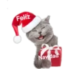 Perritos y gatitos navideños 5