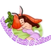 Necesito mi sueño de belleza