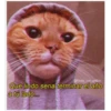 Animalitos 2 21