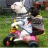 Animalitos 2 22