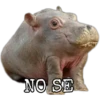 NO SE