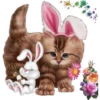 kittens 18