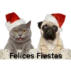 Perritos y gatitos navideños 6