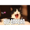 Gatitos ^~^ (by Krys) 21