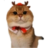 Perritos y gatitos navideños 7