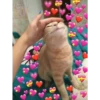 UwU 13