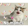 Gatitos ^~^ (by Krys) 22