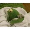 Kermit the frog part 1 (Feat. Gerry) 21