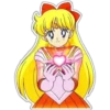 TwinkleB Sailormoon 11