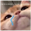 me fui a dormir y no me dijo quedate