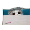Gatitos ^~^ (by Krys) 23