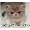 enojao porke no me ablas