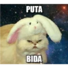 UwU 15