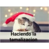 Perritos y gatitos navideños 9