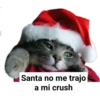 Perritos y gatitos navideños 10