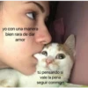 Animalitos 2 23