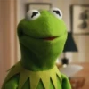 Kermit the frog part 3(Feat. Gerry) 23