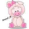 Simaryp