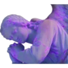 VaporXpress 3.0 21