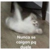 Nunca se
caigan pq
duele