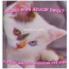 Animalitos 2 24