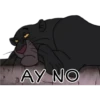 AY NO
