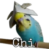 Chi