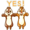 YES!
