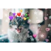 Gatitos ^~^ (by Krys) 24