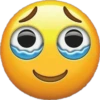 Emoji 27