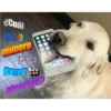 Animalitos 2 26