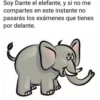 Memes1 18