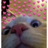 UwU 22