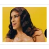 Drag Bunny 17