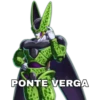 PONTE VERGA