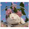 Hola cariño solo quiero decirte que
te amo y que tengas un día tan bello como tú
IG/@gatitos_para_la_depresion