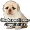 Memes uwu 16 24
