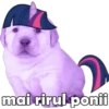 2
mai rirul ponii