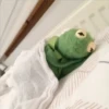 Kermit the frog part 3(Feat. Gerry) 28