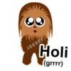 Holi
(grrrr)