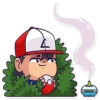 Pokemon 8