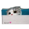 Gatitos ^~^ (by Krys) 27