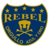 Pumas 2 20