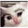 La conchetumare porke
soy tan fea