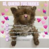 Animalitos 2 28