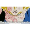 Dragón Ball 26