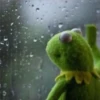 Kermit the frog part 1 (Feat. Gerry) 29