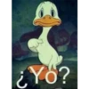 ¿Yő?