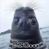 B6