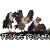PEGALE PEGALE